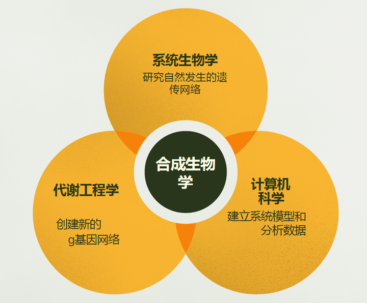 合成生物學研究內(nèi)容
